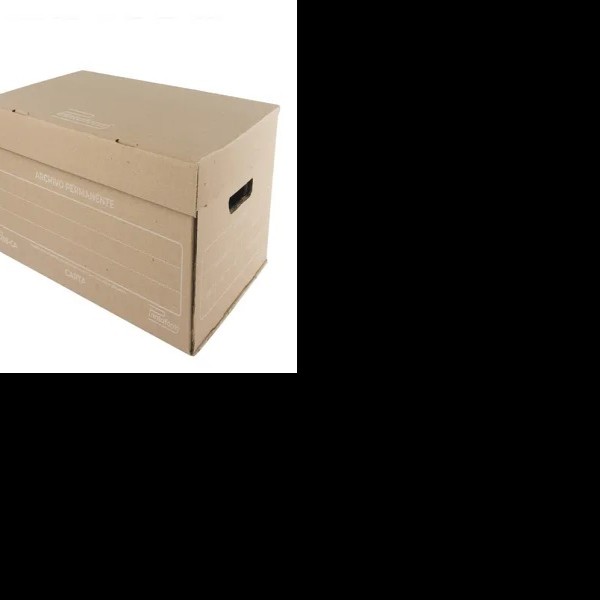 CAJA ARCHIVO CARTON CTA. 0208-CA PRINTAFORM E25